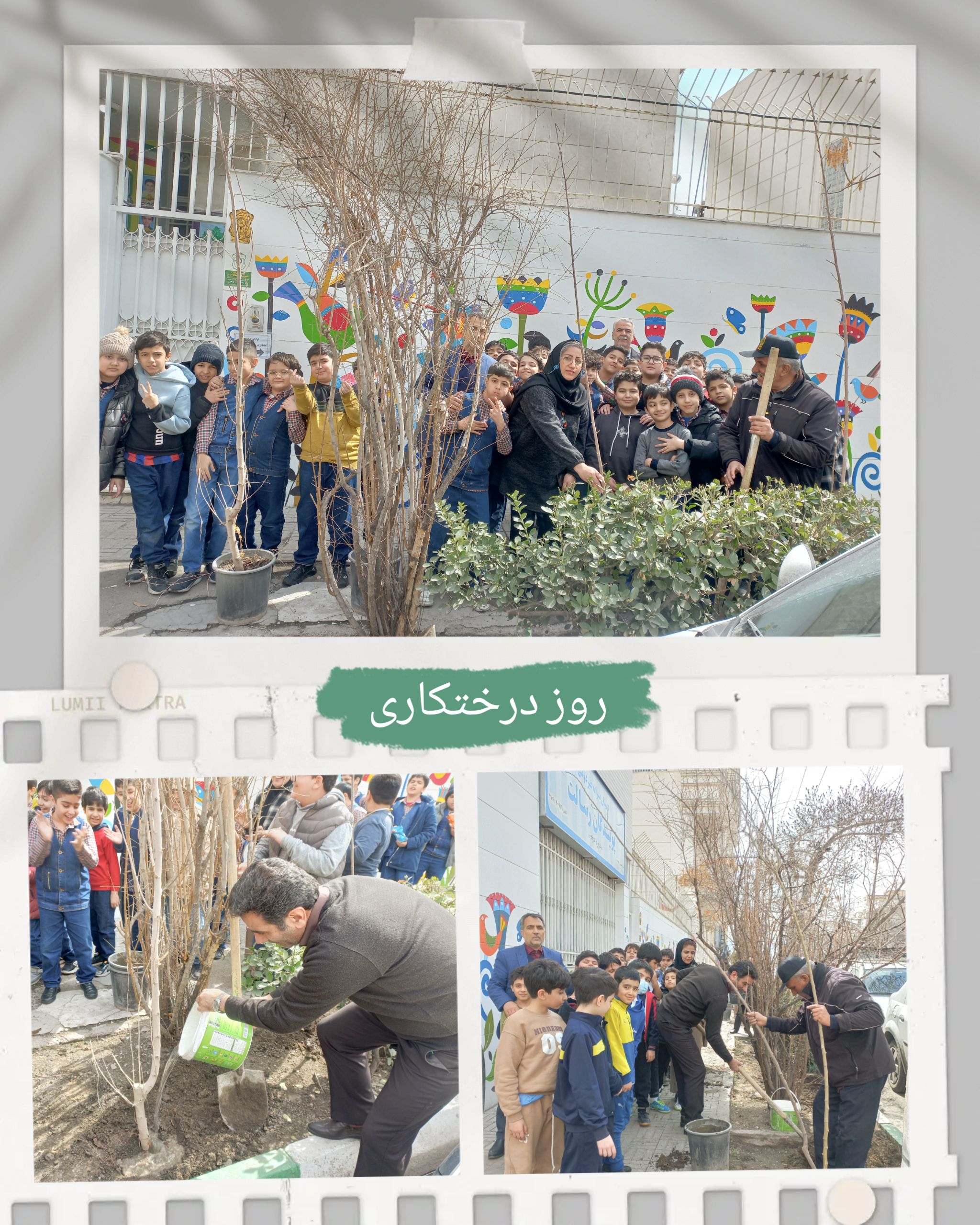روز درختکاری